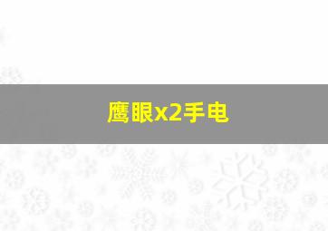 鹰眼x2手电