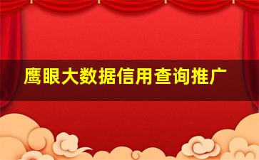 鹰眼大数据信用查询推广