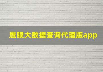 鹰眼大数据查询代理版app