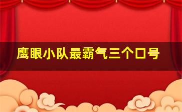 鹰眼小队最霸气三个口号