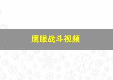 鹰眼战斗视频