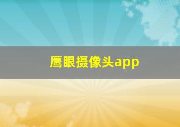 鹰眼摄像头app