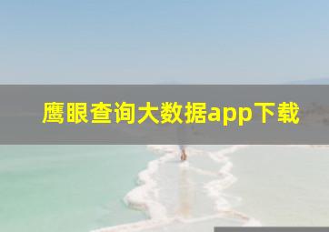 鹰眼查询大数据app下载