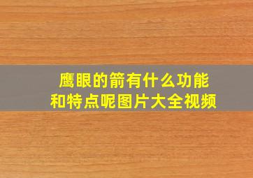 鹰眼的箭有什么功能和特点呢图片大全视频