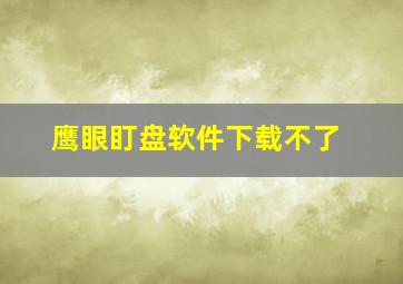 鹰眼盯盘软件下载不了