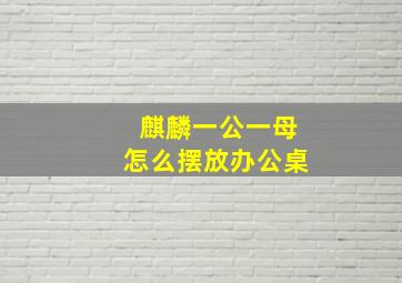 麒麟一公一母怎么摆放办公桌