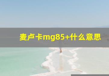 麦卢卡mg85+什么意思