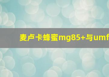 麦卢卡蜂蜜mg85+与umf