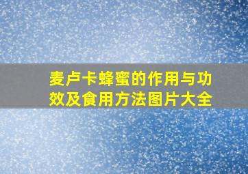 麦卢卡蜂蜜的作用与功效及食用方法图片大全