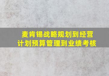 麦肯锡战略规划到经营计划预算管理到业绩考核