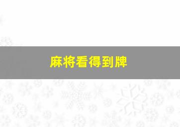 麻将看得到牌