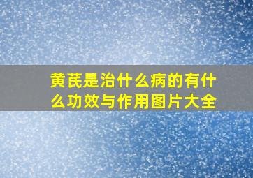 黄芪是治什么病的有什么功效与作用图片大全