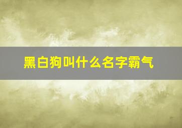 黑白狗叫什么名字霸气