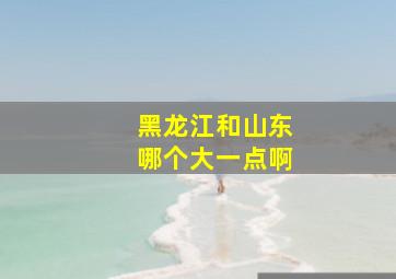 黑龙江和山东哪个大一点啊