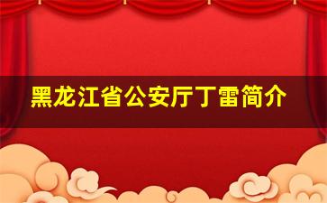 黑龙江省公安厅丁雷简介