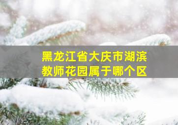 黑龙江省大庆市湖滨教师花园属于哪个区