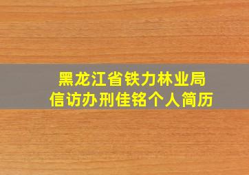 黑龙江省铁力林业局信访办刑佳铭个人简历