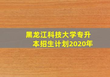 黑龙江科技大学专升本招生计划2020年