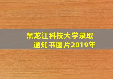 黑龙江科技大学录取通知书图片2019年