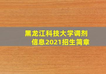 黑龙江科技大学调剂信息2021招生简章