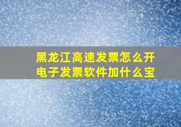 黑龙江高速发票怎么开电子发票软件加什么宝