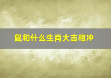 鼠和什么生肖大吉相冲