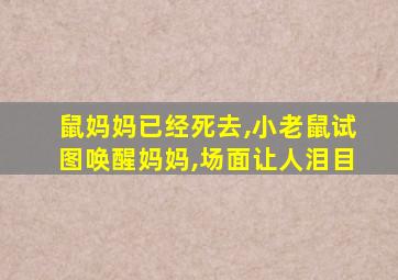 鼠妈妈已经死去,小老鼠试图唤醒妈妈,场面让人泪目