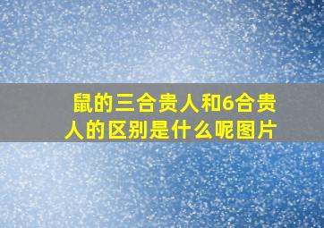 鼠的三合贵人和6合贵人的区别是什么呢图片