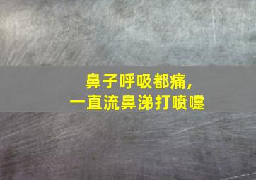 鼻子呼吸都痛,一直流鼻涕打喷嚏