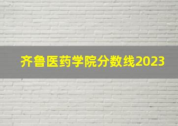 齐鲁医药学院分数线2023