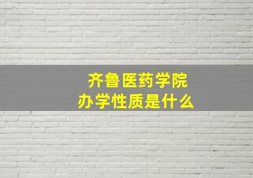 齐鲁医药学院办学性质是什么