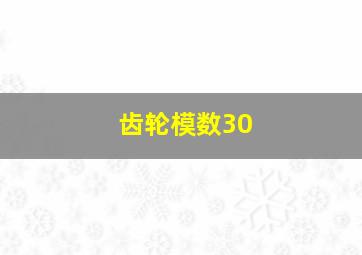 齿轮模数30