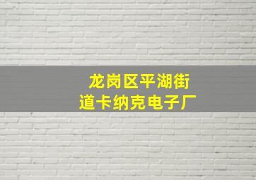 龙岗区平湖街道卡纳克电子厂