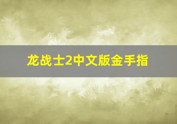 龙战士2中文版金手指