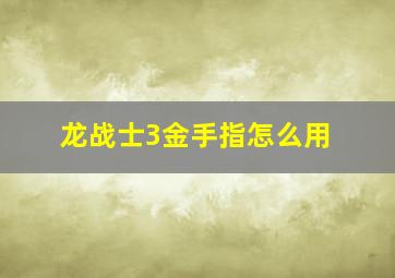 龙战士3金手指怎么用