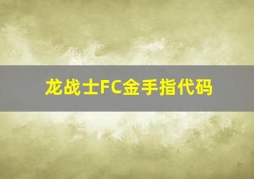 龙战士FC金手指代码