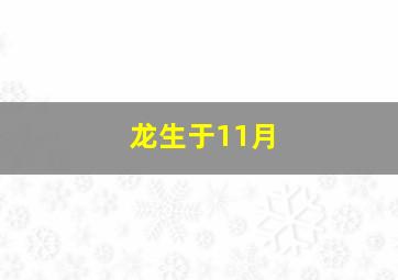 龙生于11月