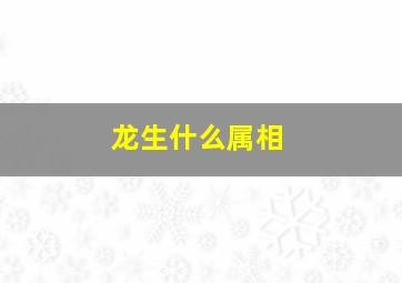 龙生什么属相