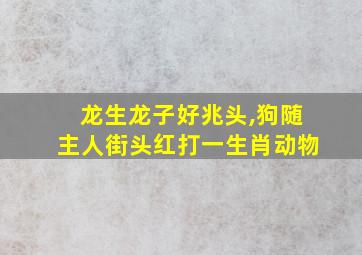 龙生龙子好兆头,狗随主人街头红打一生肖动物