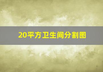 20平方卫生间分割图