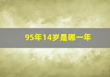 95年14岁是哪一年