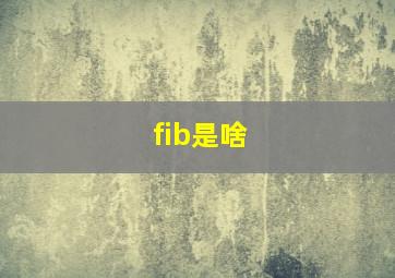 fib是啥