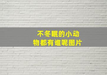 不冬眠的小动物都有谁呢图片