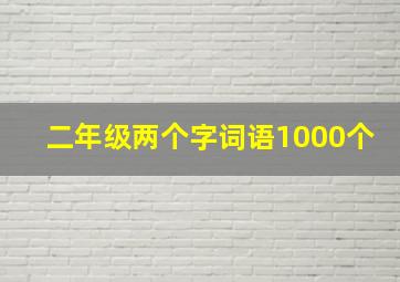 二年级两个字词语1000个