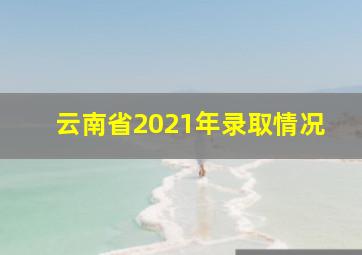 云南省2021年录取情况