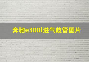 奔驰e300l进气歧管图片