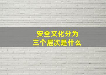 安全文化分为三个层次是什么