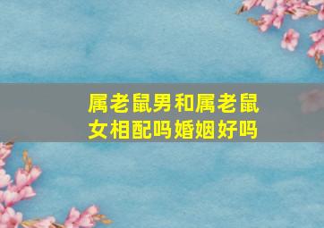 属老鼠男和属老鼠女相配吗婚姻好吗