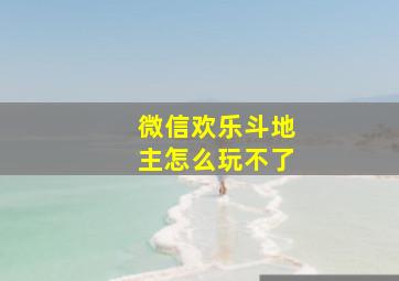 微信欢乐斗地主怎么玩不了