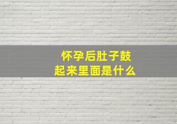 怀孕后肚子鼓起来里面是什么